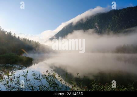 In Germania, in Baviera, Mittenwald, nebbia spessa che fluttua sopra il lago Ferchensee all'alba Foto Stock