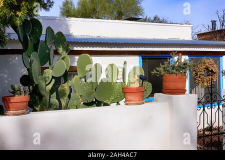 Adobe stile home con vasi di cactus e una barberia fig cactus crescente nel cortile anteriore in Tubac, Arizona Foto Stock