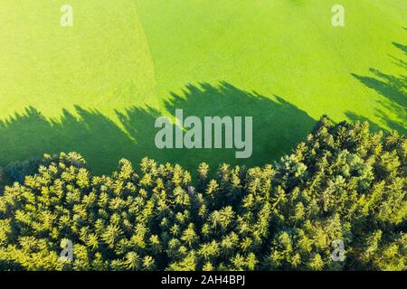 In Germania, in Baviera, Eurasburg, vista aerea del bordo del verde bosco di abete rosso Foto Stock