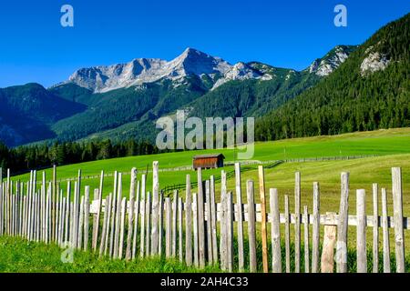 Austria, Tirolo, Steinberg am Rofan, semplice recinto circostante campagna pascolo con Guffert mountain in background Foto Stock