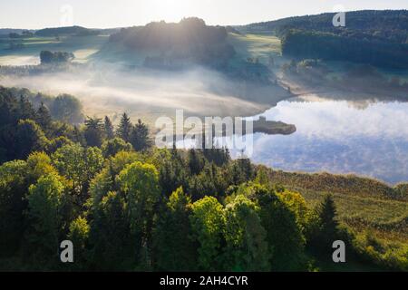 In Germania, in Baviera, Baviera, Toelzer Terra, Harmating, vista di stagno nel paesaggio nella luce del mattino e la nebbia Foto Stock