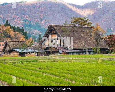 Tradizionali case in paglia all'UNESCO di cui Sito del Patrimonio Mondiale di Shirakawago in Giappone. Foto Stock