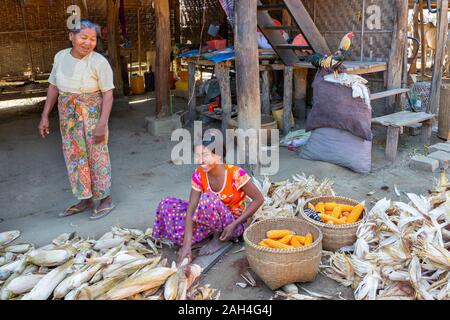 Donna locale peeling mais a Bagan, Myanmar Foto Stock