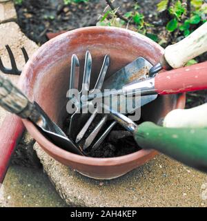 Utensili da giardinaggio in una pentola Foto Stock