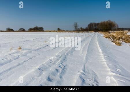 Country Road attraverso il prato, soleggiata giornata invernale in Nowiny, Polonia Foto Stock