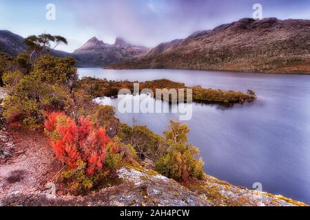 Culla montagna sopra il lago di colomba nel parco nazionale di Tasmania - enorme masso scogliera con boccola rossa in alto sopra l'acqua. Colldness della stagione invernale con sn Foto Stock