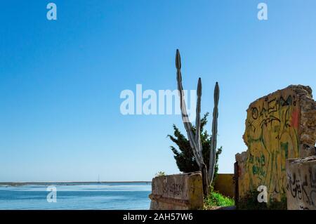 Cactus in spiaggia nei pressi di rovine di parete industiral, Faro, Portogallo Foto Stock