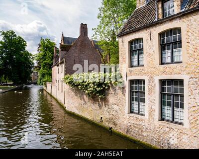 La parete esterna del Begijnhof, beghinaggio e canale nel centro storico di Bruges, Fiandre Occidentali, Belgio Foto Stock