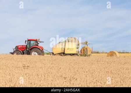 Agricoltore imballano balle di grano con una Krone Comprima CV 150 XC imballatrice e caso Puma 160 trattore durante la mietitura dei cereali nella luce della sera Foto Stock