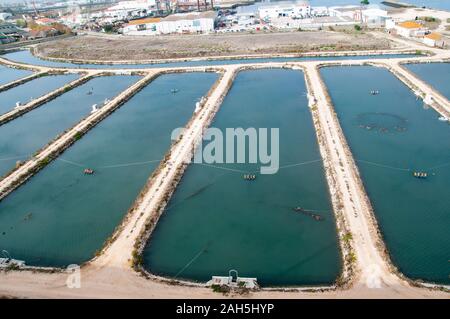 Stagni di pesce come si vede da Edgar Cardoso bridge Figueira da Foz, Portogallo Foto Stock