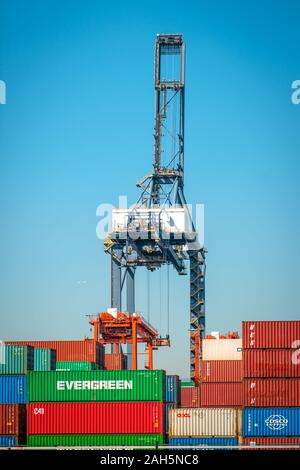 Hong Kong Cina - Novembre 2019: gru di carico del contenitore di spedizione su merci porto centro di logistica di Hong Kong Foto Stock