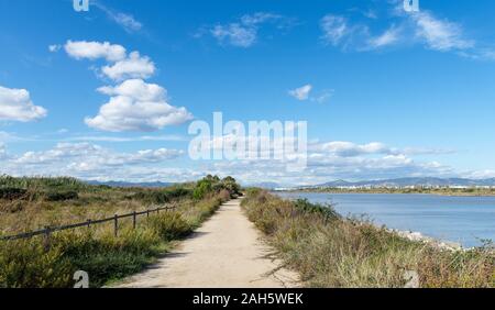 Paesaggio, aree naturali del Llobregat Delta,percorso, El Prat de Llobregat, Provincia Barcellona,Cataluña. Foto Stock