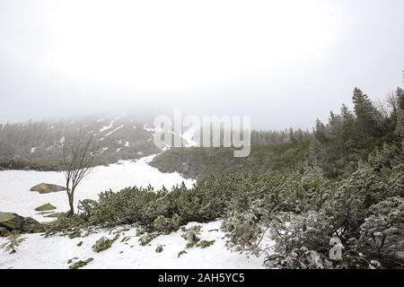 Alti Tatra in inverno in Polonia Foto Stock