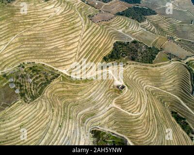 Antenna vista superiore dei vigneti terrazzati nella Valle del Douro, Portogallo Foto Stock