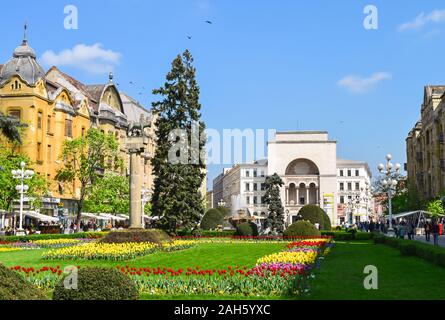 Timisoara town square Piata Victoriei in primavera Foto Stock