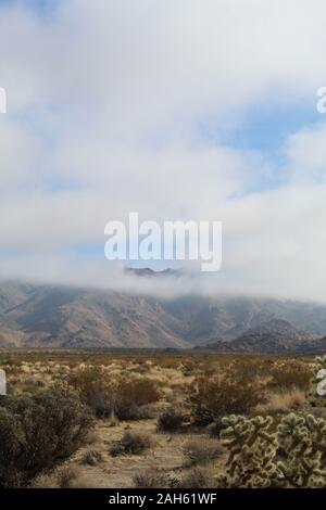 Raro Sud del Deserto Mojave nebbia avvolge le figure di montagna vicino a Indian Cove di Joshua Tree National Park. Foto Stock