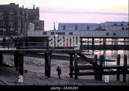 Aberystwyth Ceredigion, Wales, Regno Unito 25 Dicembre 2019: Il giorno di Natale nel pomeriggio incontro di persone a guardare la starling murmuration display su Aberystwyth Foto Stock