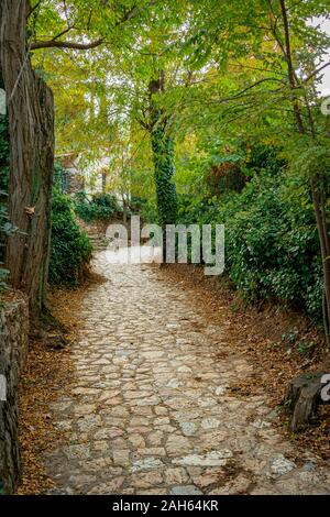 Percorso di pietra a estetica Kesariani foresta sul monte Hymettus (Ymittos), vicino al monastero di Kaisariani Foto Stock