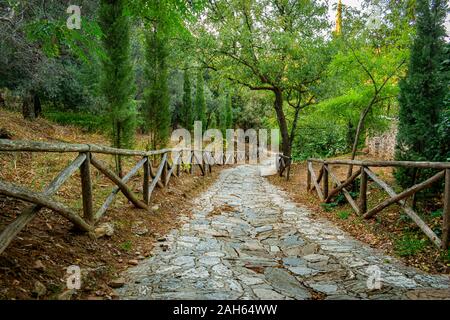 Percorso di pietra a estetica Kesariani foresta sul monte Hymettus (Ymittos), vicino al monastero di Kaisariani Foto Stock