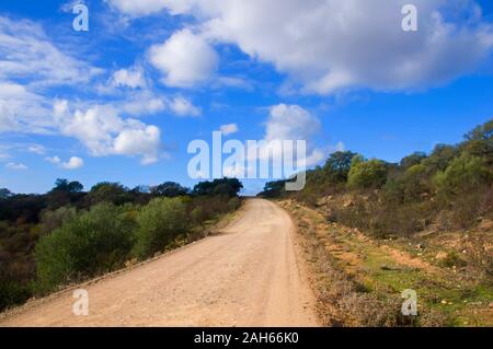 Brown su strada sterrata circondata da alberi. Il cielo blu con nuvole bianche. Siviglia, Spagna Foto Stock