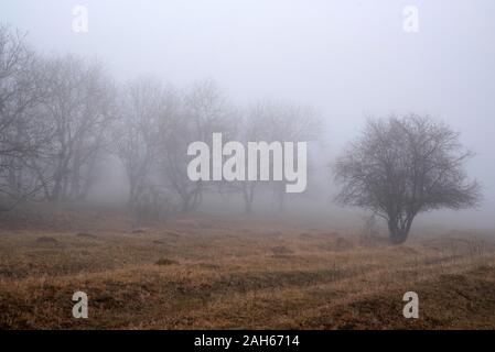 Premendo dark foggy countriside da qualche parte in Russia Foto Stock