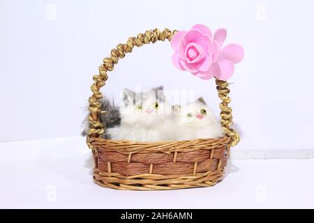 Due gatti in un cesto con fiori di rosa Foto Stock