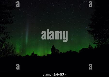 Luci del nord su una notte di settembre in acque di confine, Minnesota, Stati Uniti d'America Foto Stock