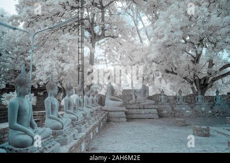 Fila di antiche immagini di Buddha nel tempio buddista in Ayutthaya, Thailandia nella fotografia a raggi infrarossi Foto Stock