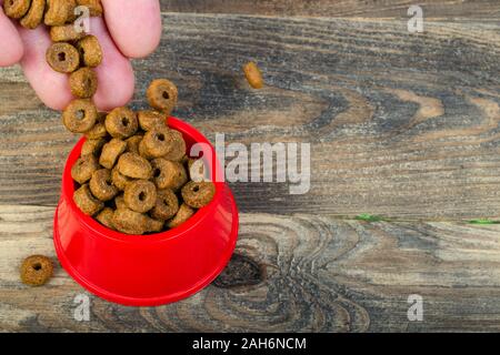 Le mani umane pour croccante secco alimenti per gatti in rosso coppa in plastica che si trova sul pavimento in legno o tavolo. Close-up. Foto Stock