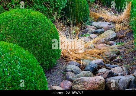 Interessante texture di sfondo verde di arbusti e alberi sul suolo di ghiaia, sulla ghiaia, pietra Fern Tree è utilizzato per decorare la casa, il giardino, parco, ufficio, Foto Stock