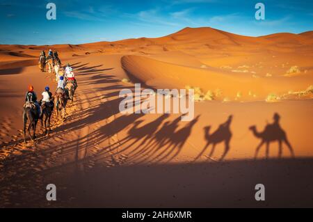 Deserto del Sahara cammelli trekking con berberi dromadaires avventura equitazione e berber escursione guida a Merzouga Dubai, Oman, Bahrain il Marocco o Foto Stock