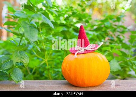 Decorate zucca piccola sul tavolato in legno a giardino verde sullo sfondo (copia spazio) Foto Stock