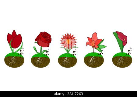 Imposta icona fiori isolati su sfondo bianco. Tulip, rose, echinacea, Azalea, calla lilies in semplice stile piatto logo. Stock illustrazione vettoriale Illustrazione Vettoriale