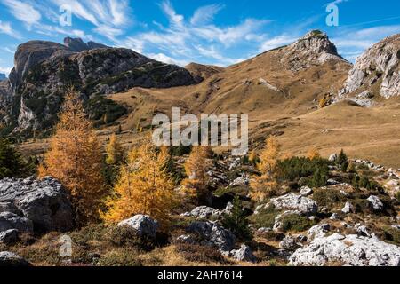 Incredibile autunno paesaggio rurale con giallo di alberi in primo piano e le colline di montagna sullo sfondo. Alpi Dolomitiche, Italia Foto Stock