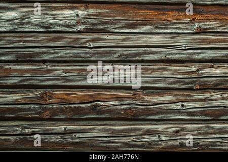 Termiti mangiare vecchia e decadente doghe in legno Foto Stock