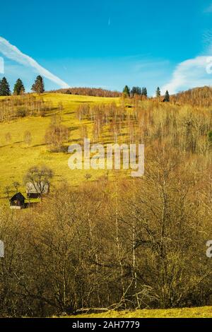 Il rumeno vecchio ovile sulla cima di una collina nella stagione autunnale, Fantanele village, Sibiu county, montagne Cindrel, 1100m, Romania Foto Stock