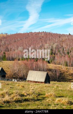 Il rumeno vecchio ovile sulla cima di una collina nella stagione autunnale, Fantanele village, Sibiu county, montagne Cindrel, 1100m, Romania Foto Stock