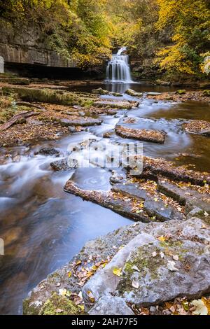 Di West Burton cade, noto anche come Cauldron Falls, con un attraente fogliame di autunno, Wensleydale, Yorkshire Dales National Park, England, Regno Unito Foto Stock