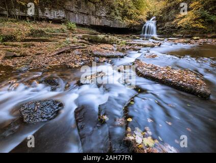 Di West Burton cade, noto anche come Cauldron Falls, con un attraente fogliame di autunno, Wensleydale, Yorkshire Dales National Park, England, Regno Unito Foto Stock