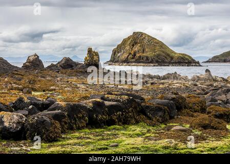Paesaggio scozzese con una riva rocciosa coperta di marrone e. alghe verdi e una piccola isola lontana Foto Stock