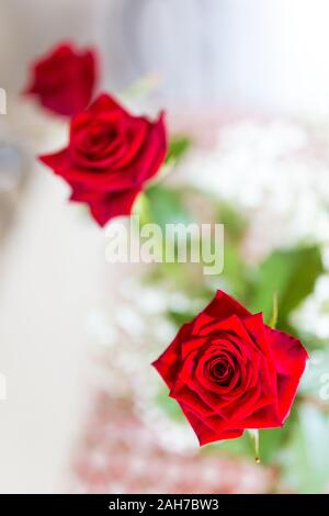 Primo piano di tre rose rosse in un recipiente di vetro su uno sfondo bokeh Foto Stock