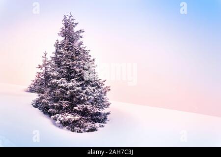 Magic winter scene with a fir tree covered with snow in pink pastel tones. Romantic winter landscape on a snowy day. Copy-space for text. Christmas ho Foto Stock