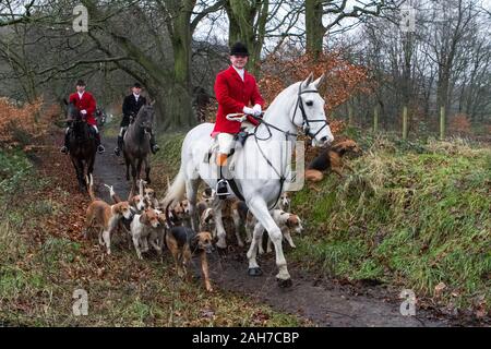 Chorley, Lancashire, Regno Unito. Il 26 dicembre 2019. Una cinquantina di piloti provenienti da la caccia Holcombe rode su Boxing Day nel quattrocentesimo anno della caccia ai suoni di zoccoli tuonanti, barking e applausi dalla folla. Senior Master della Holcombe Hunt, Sue Simmons, ha portato i piloti come essi cerchiato in campo per la folla prima che essi insieme fuori dalla sala Rivington Barn, sul loro due ore e mezza di corsa. Credito: Cernan Elias/Alamy Live News Foto Stock