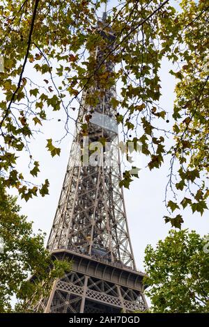 Parigi, Francia - 8 Novembre 2019: la Torre Eiffel, dal giardino dei Campi di Marte. Un posto con alberi e sentieri per camminate, sempre con la torre hoveri Foto Stock