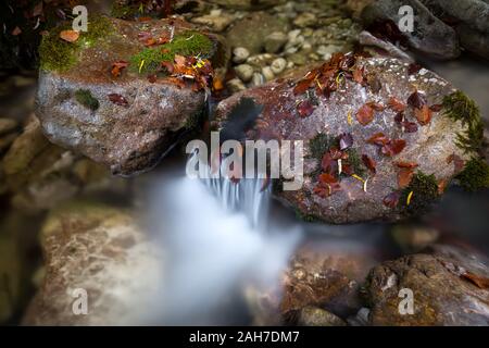 Da vicino si può ammirare un torrente di montagna che scorre tra rocce e rapide ricoperte di muschio, con foglie autunnali sparse tutto intorno Foto Stock