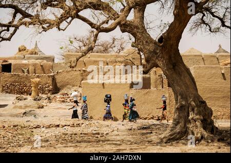 MALI, Bandiagara, Dogonland, habitat dell'etnia Dogon, villaggio Dogon con case di argilla e albero Foto Stock