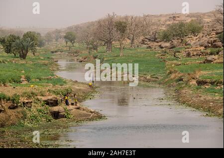 MALI, Bandiagara, Dogonland, habitat dell'etnia Dogon, campi irrigati al piccolo fiume Foto Stock