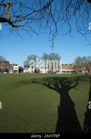 Ombra di un cavallo maturo castagno che spazia su tutta la verde di Twickenham, middlesex, Inghilterra Foto Stock