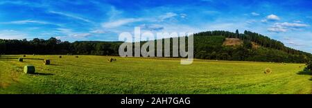 Vista su una zona agricola con una foresta in background, Germania. Foto Stock