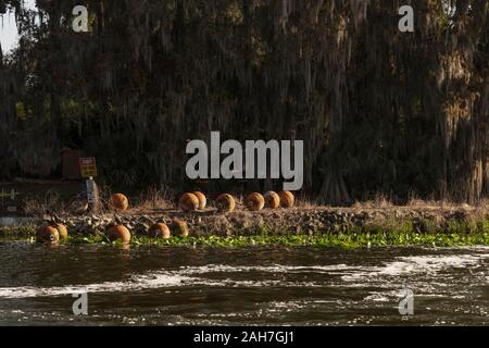 Navigazione Burrell Lock & Dam in bisogno di restauro. Foto Stock